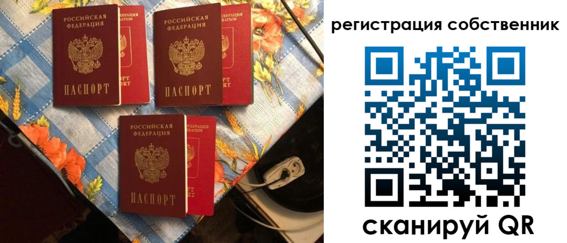 прописка в Ельце